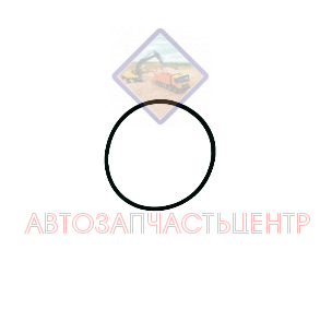 Уплотнительное кольцо 113-15-29261