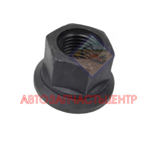 Гайка колесная - Nut WG9003889160 SHACMAN WG9003889160