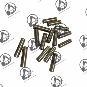 Ролик игольчатый (к-т 10 шт.) TEREX 6195145M1, 3523075M1