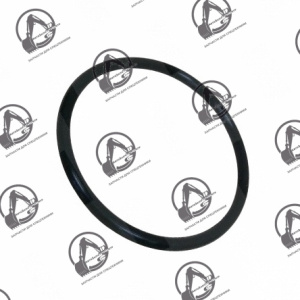 Кольцо уплотнительное 06.56190-0704